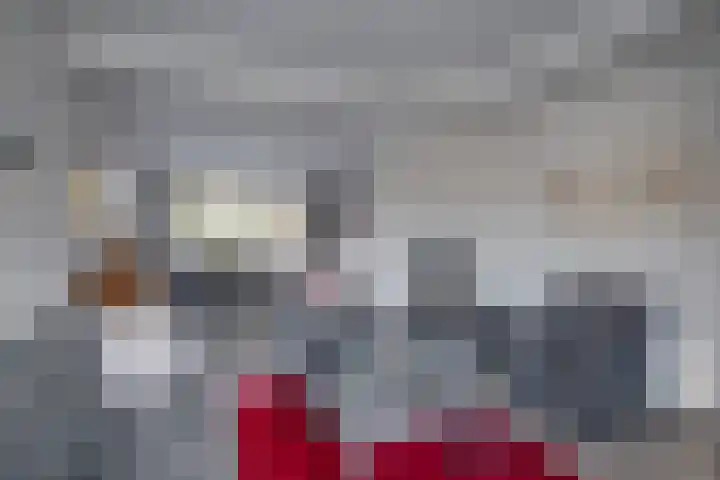Dr.v.d.Hoevenlaan 21 Eefde thumbnail 5