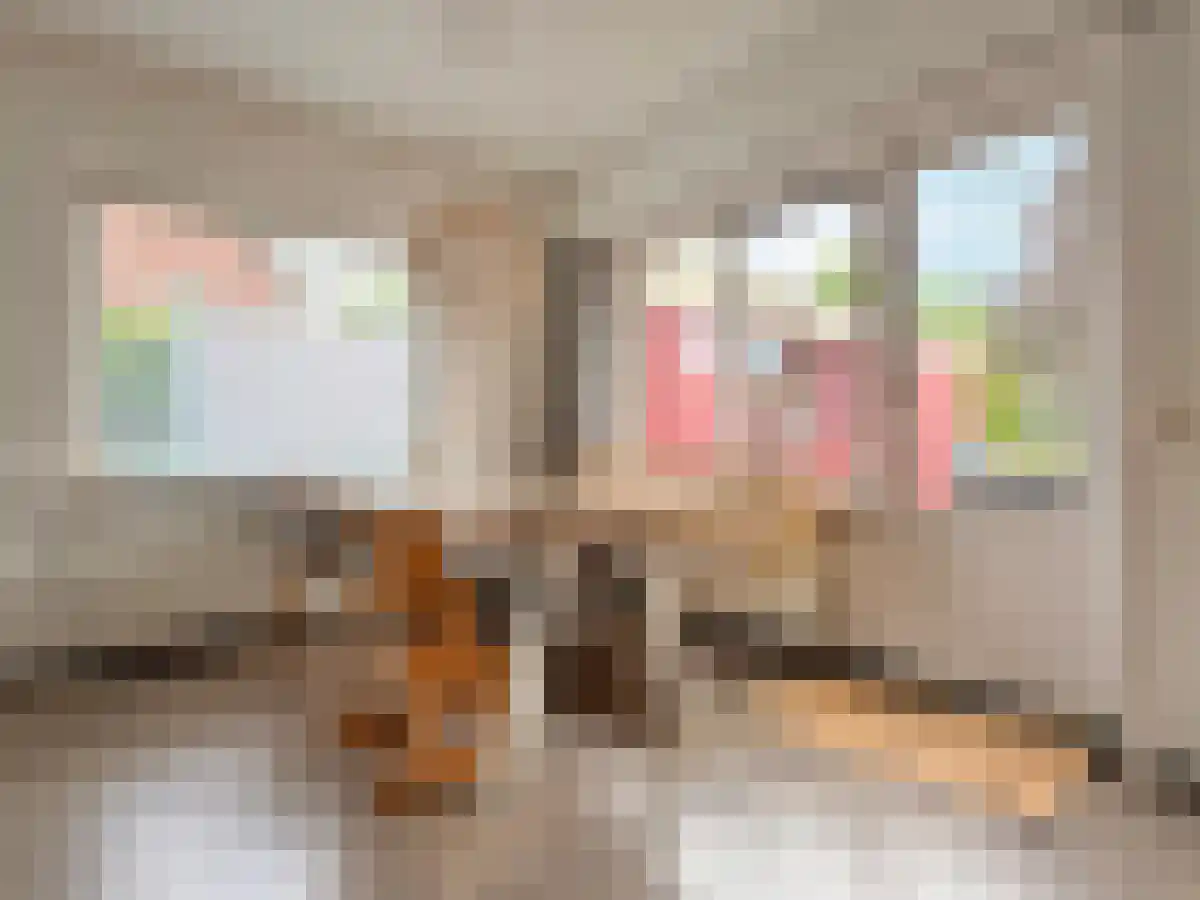 Dr.v.d.Hoevenlaan 21 Eefde thumbnail 6