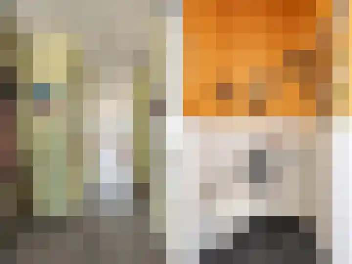 Dr.v.d.Hoevenlaan 3 e Eefde thumbnail 10