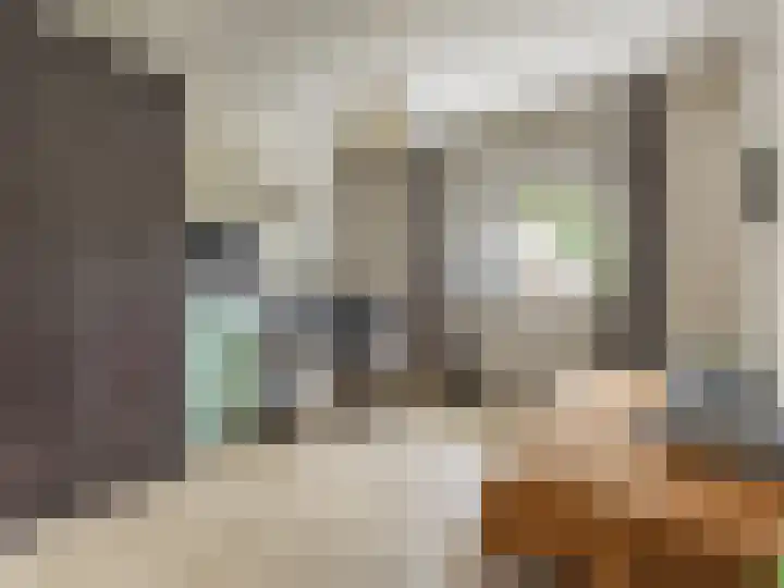 Dr.v.d.Hoevenlaan 3 e Eefde thumbnail 15