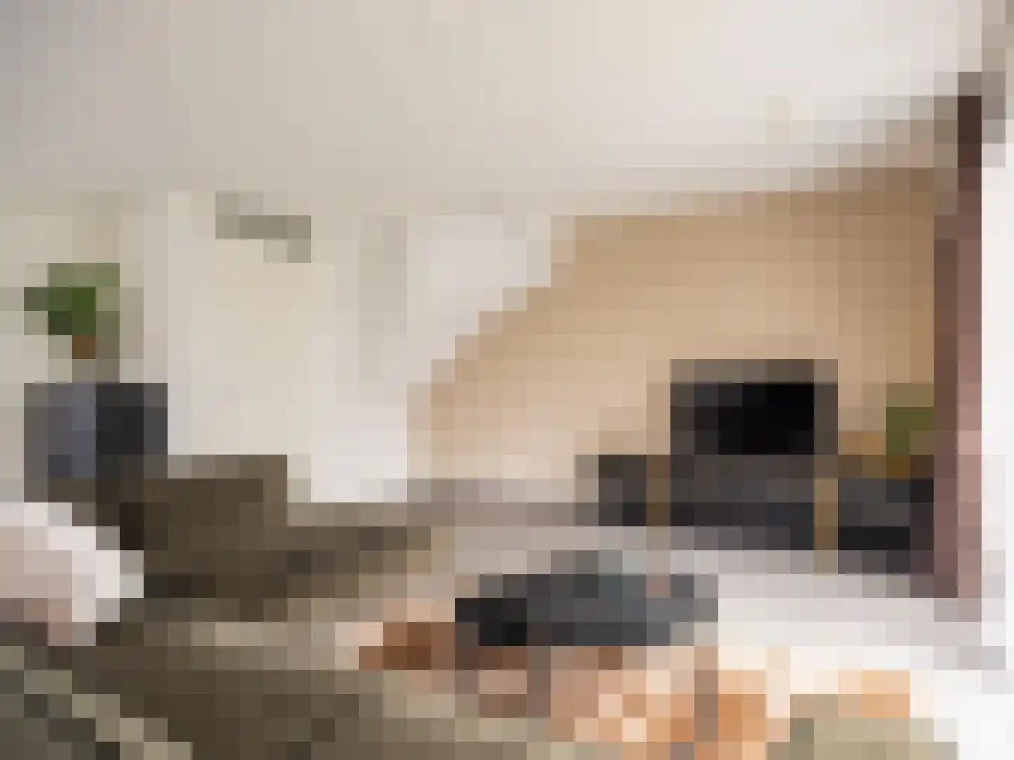 Dr.v.d.Hoevenlaan 3 f Eefde thumbnail 4