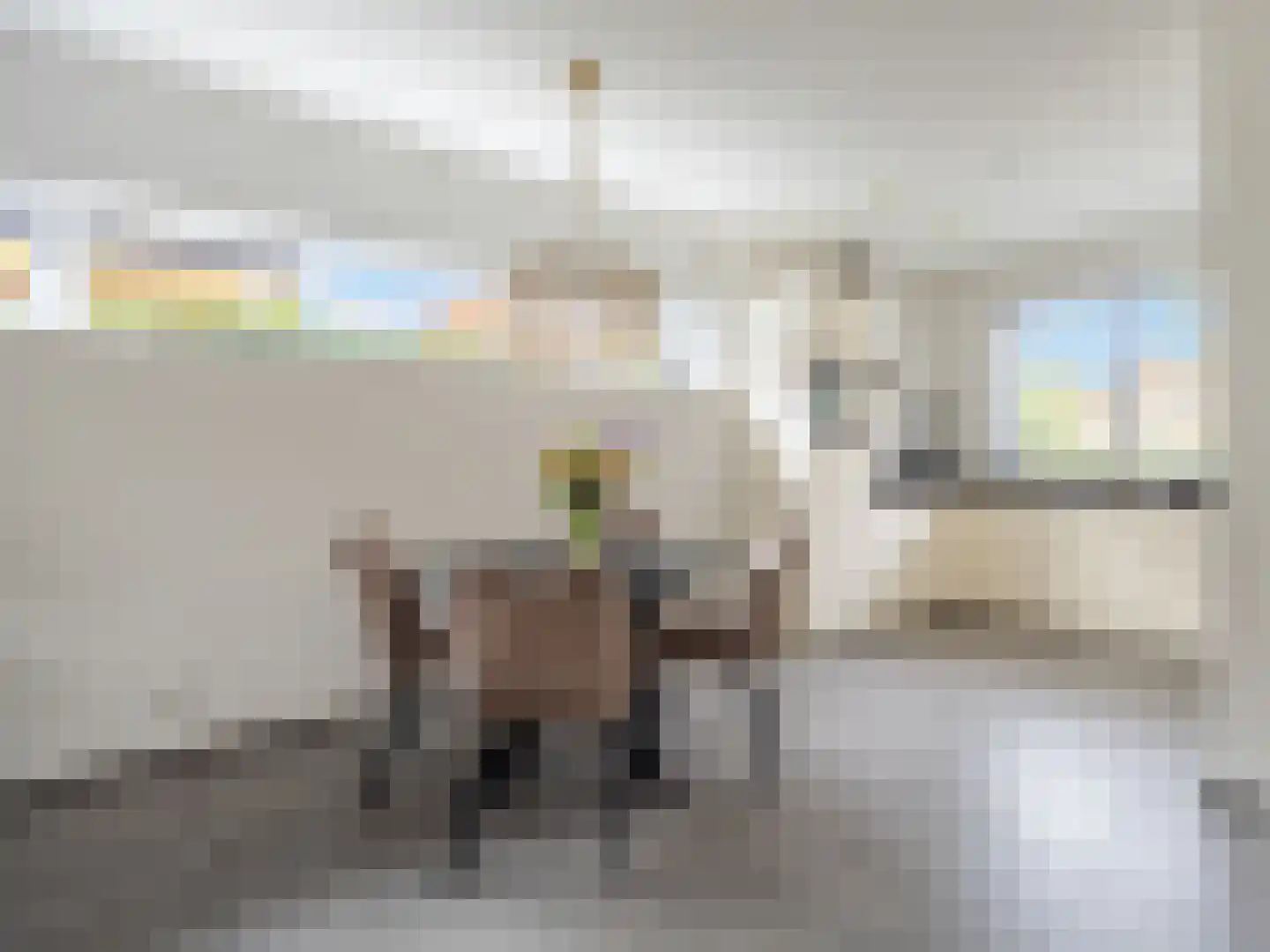 Dr.v.d.Hoevenlaan 3 f Eefde thumbnail 6