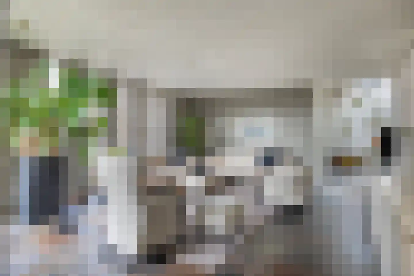 Dr. van Beurdenstraat 3 Schijndel thumbnail 10