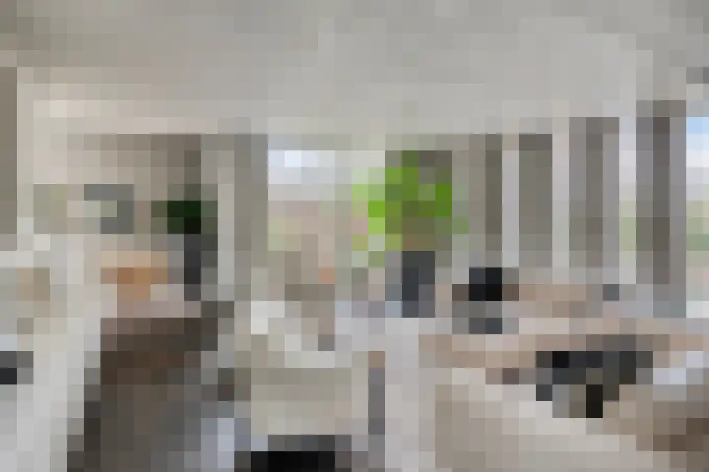 Dr. van Beurdenstraat 3 Schijndel thumbnail 11