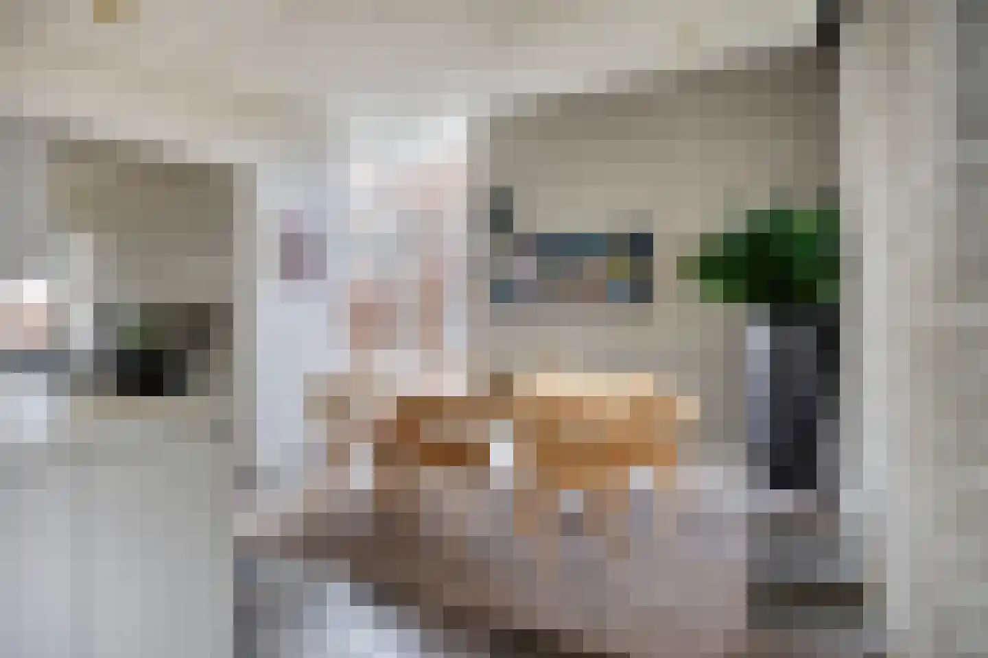 Dr. van Beurdenstraat 3 Schijndel thumbnail 12