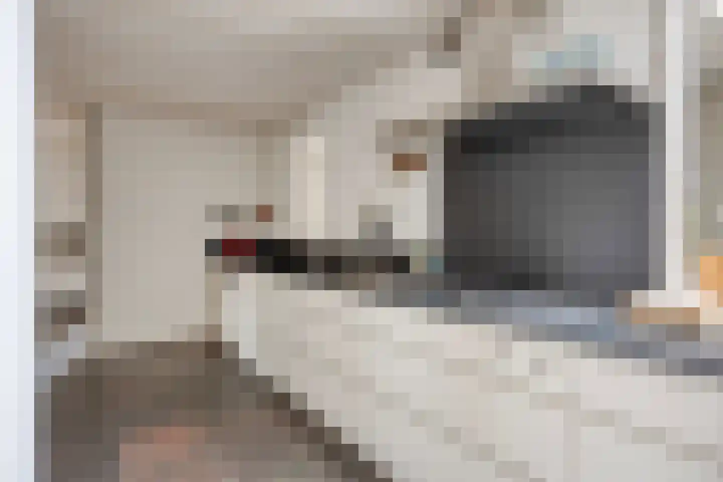 Dr. van Beurdenstraat 3 Schijndel thumbnail 13