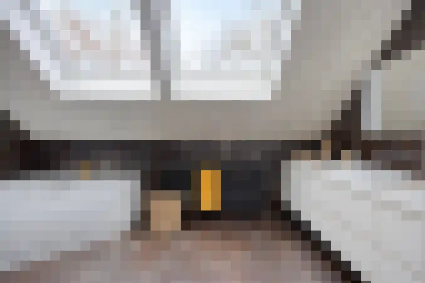 Dr. van Beurdenstraat 3 Schijndel thumbnail 20