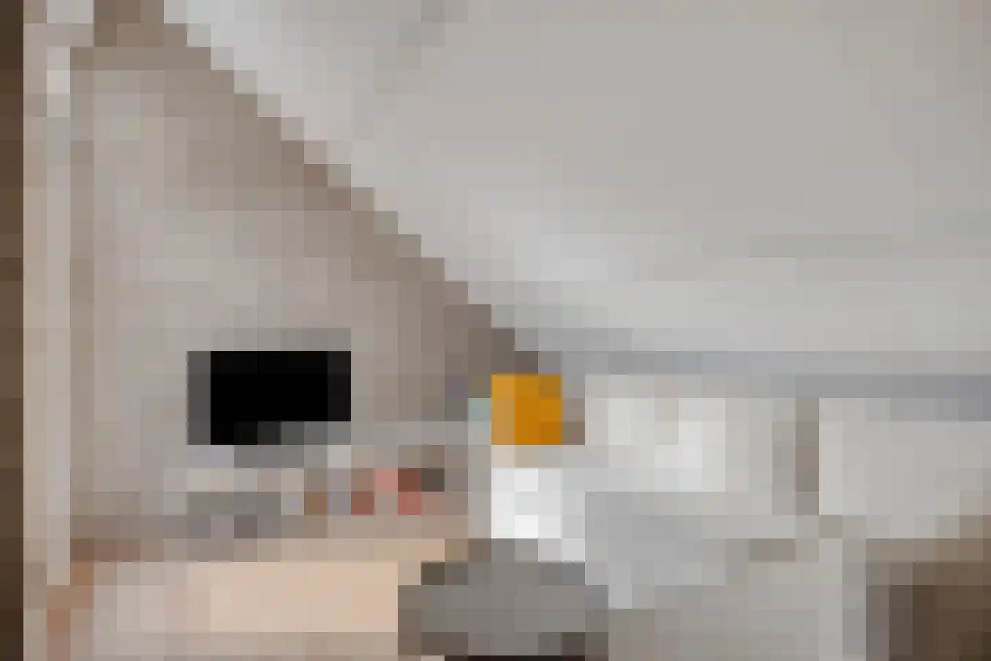 Dr. van Beurdenstraat 3 Schijndel thumbnail 26