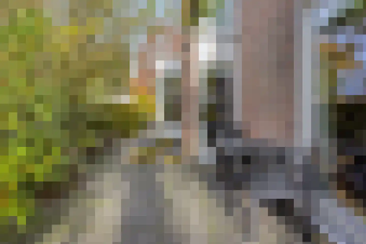 Dr. van Beurdenstraat 3 Schijndel thumbnail 28