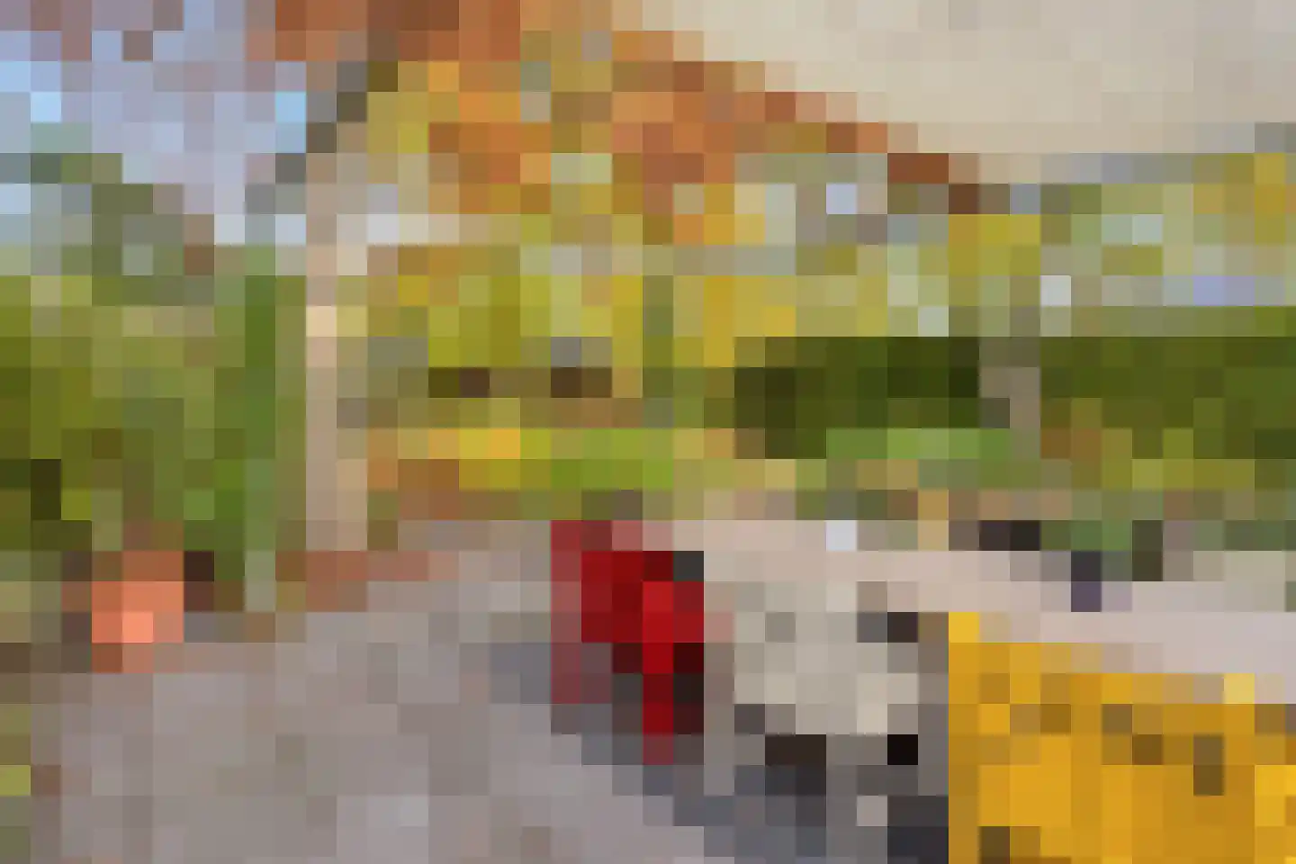 Dr. van Beurdenstraat 3 Schijndel thumbnail 30
