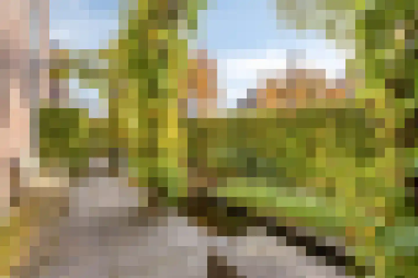 Dr. van Beurdenstraat 3 Schijndel thumbnail 31