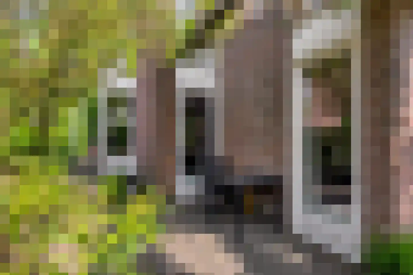 Dr. van Beurdenstraat 3 Schijndel thumbnail 31