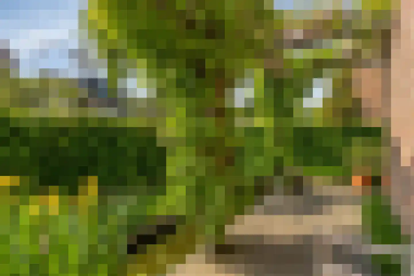 Dr. van Beurdenstraat 3 Schijndel thumbnail 32