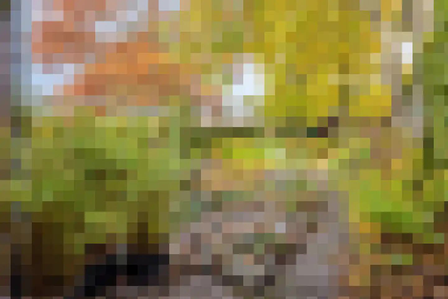 Dr. van Beurdenstraat 3 Schijndel thumbnail 32