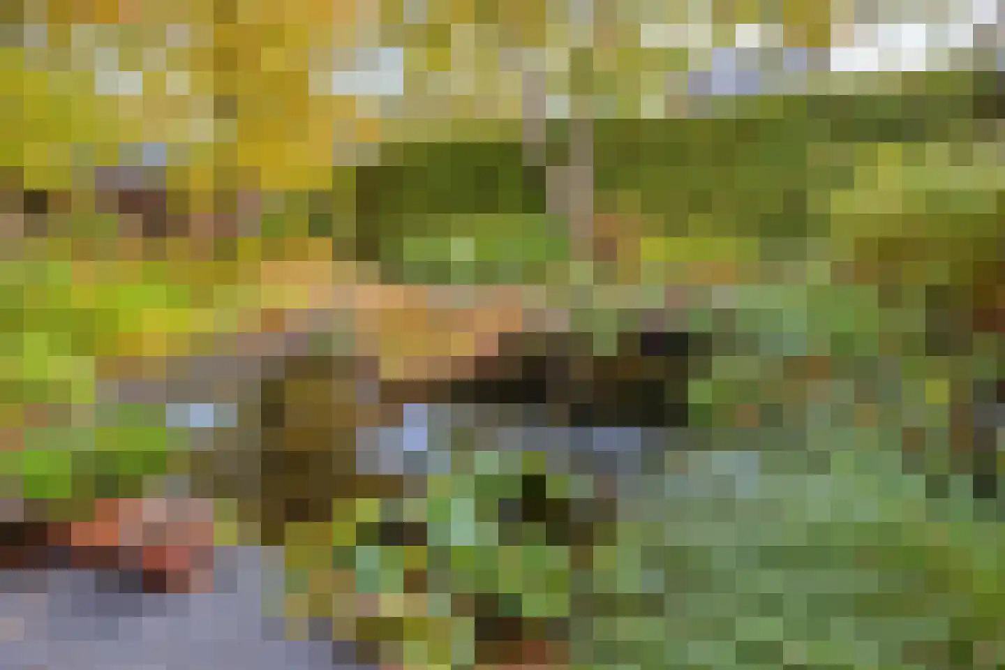 Dr. van Beurdenstraat 3 Schijndel thumbnail 33