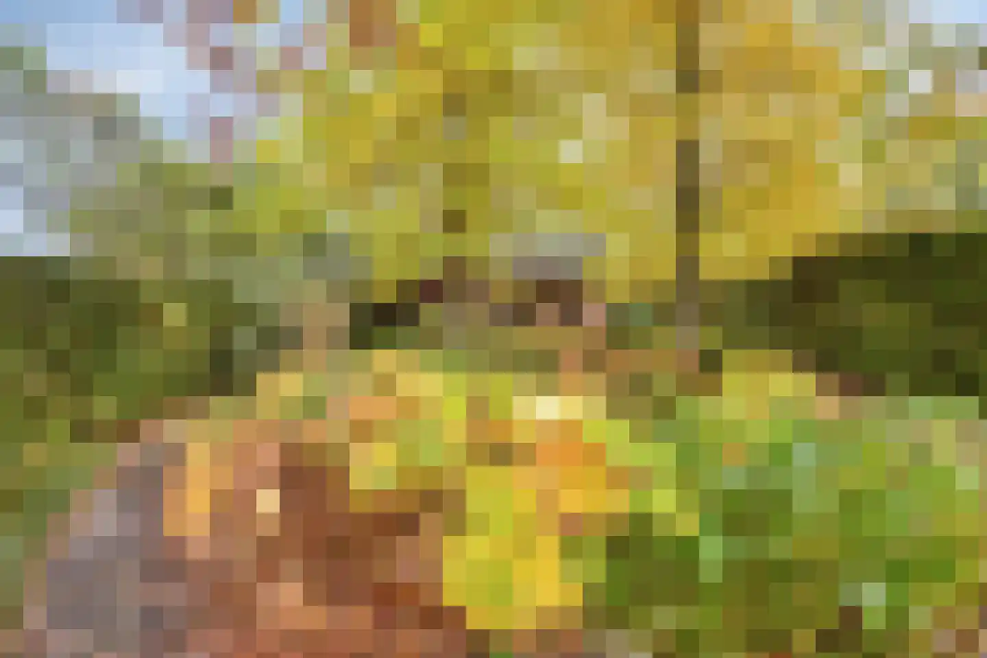 Dr. van Beurdenstraat 3 Schijndel thumbnail 34