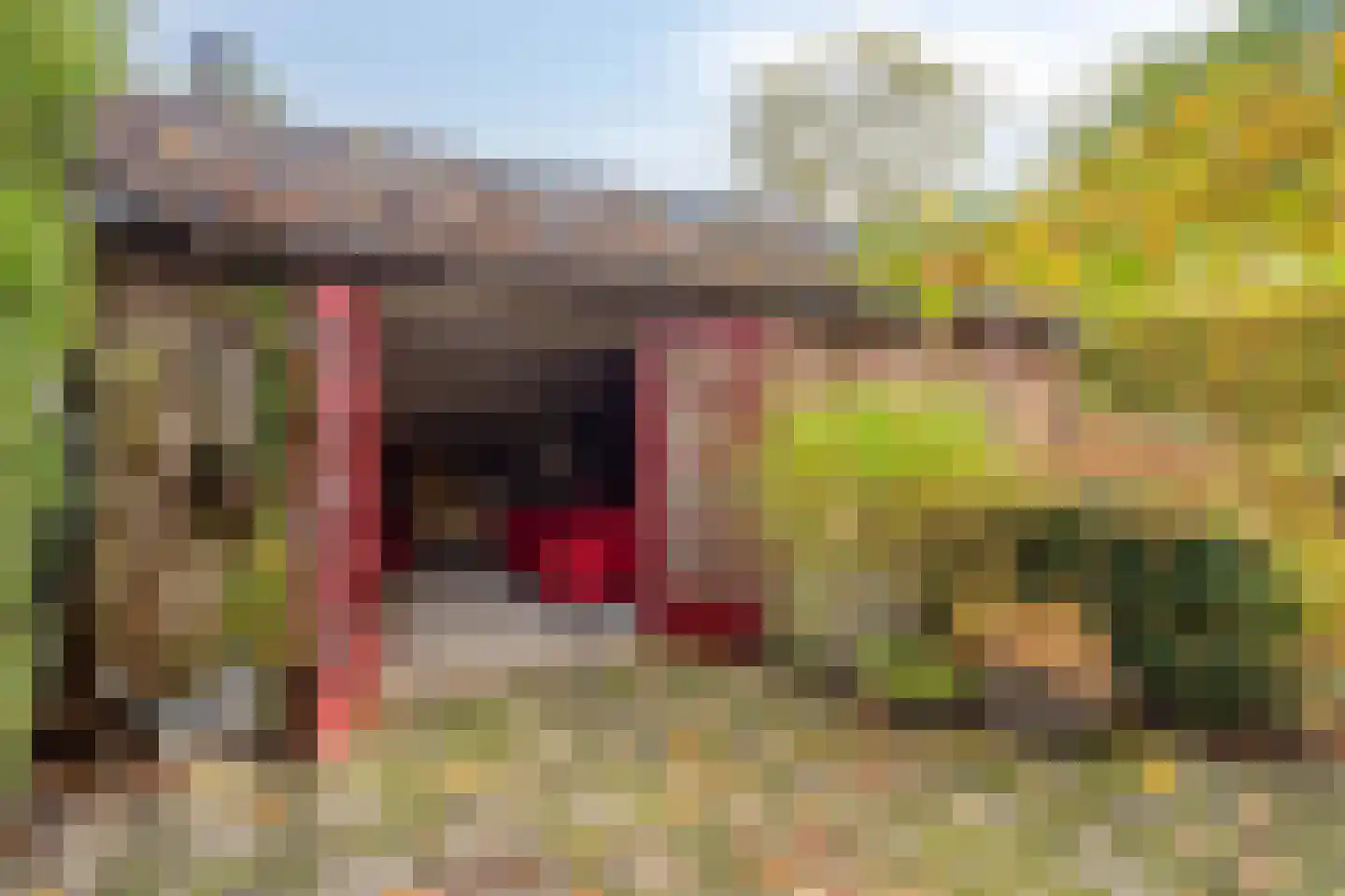 Dr. van Beurdenstraat 3 Schijndel thumbnail 35