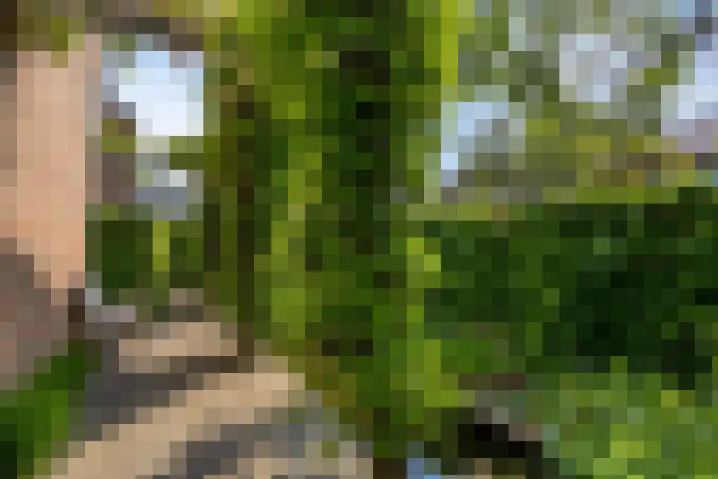 Dr. van Beurdenstraat 3 Schijndel thumbnail 35