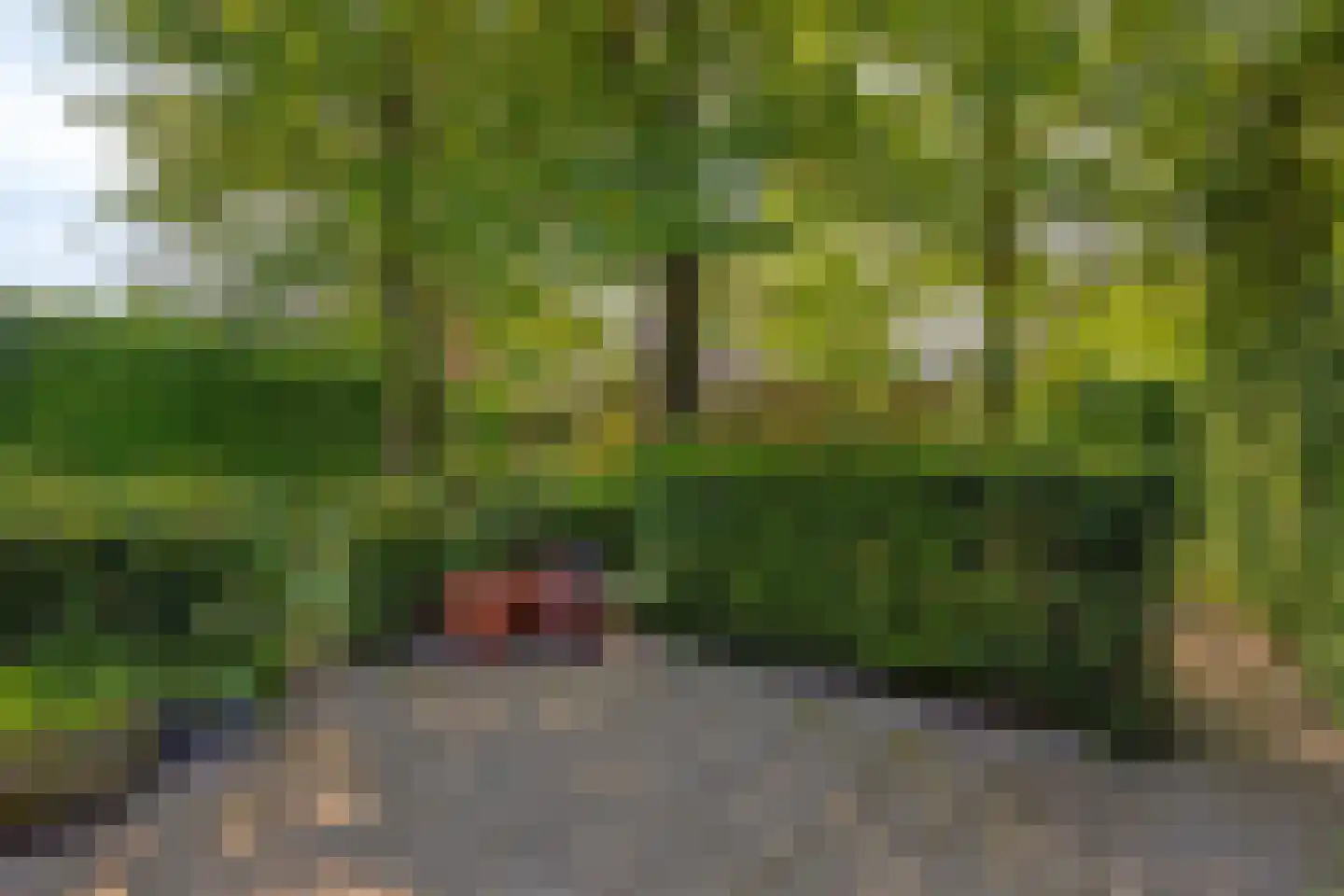 Dr. van Beurdenstraat 3 Schijndel thumbnail 36