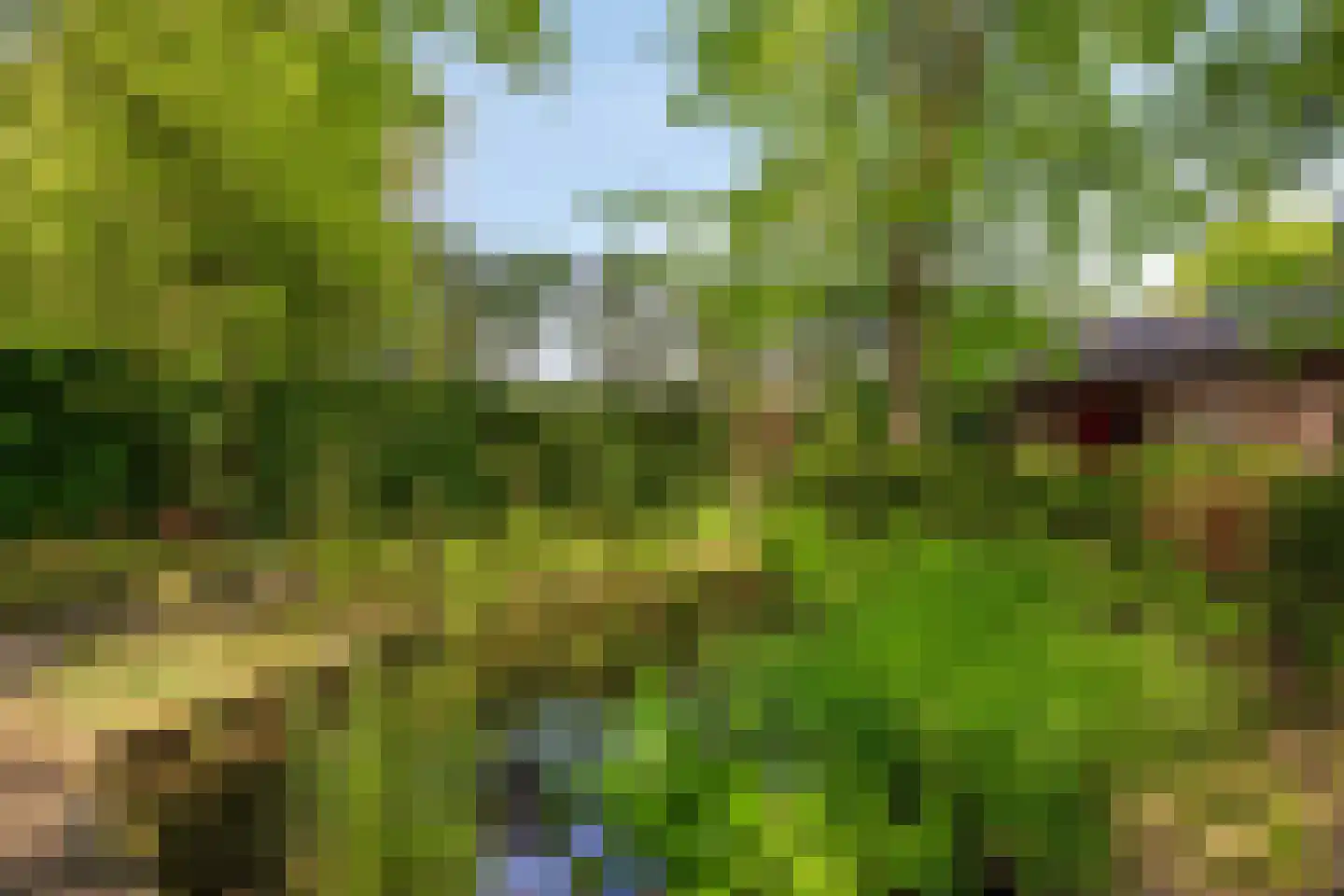Dr. van Beurdenstraat 3 Schijndel thumbnail 37