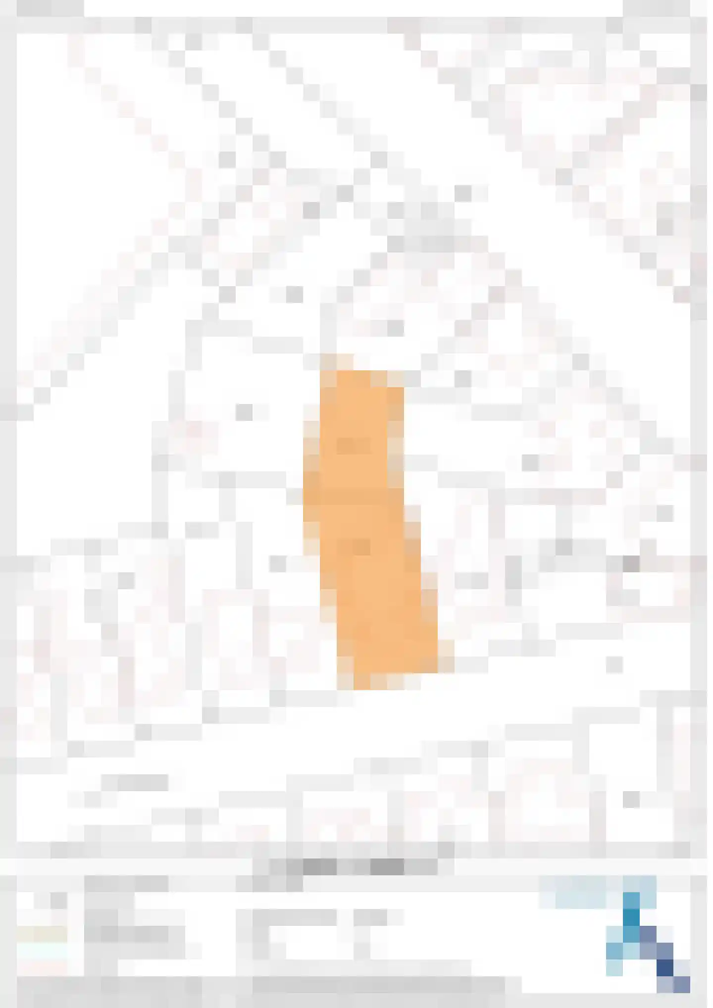 Dr. van Beurdenstraat 3 Schijndel thumbnail 38