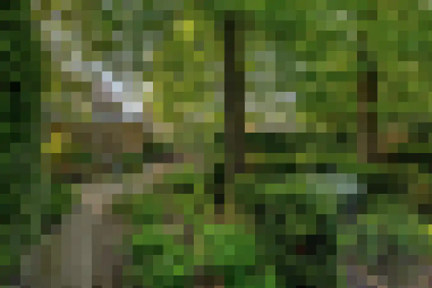 Dr. van Beurdenstraat 3 Schijndel thumbnail 38