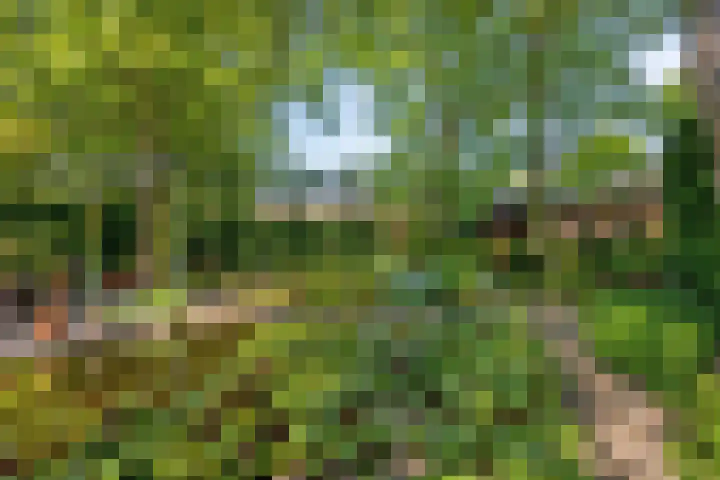 Dr. van Beurdenstraat 3 Schijndel thumbnail 39