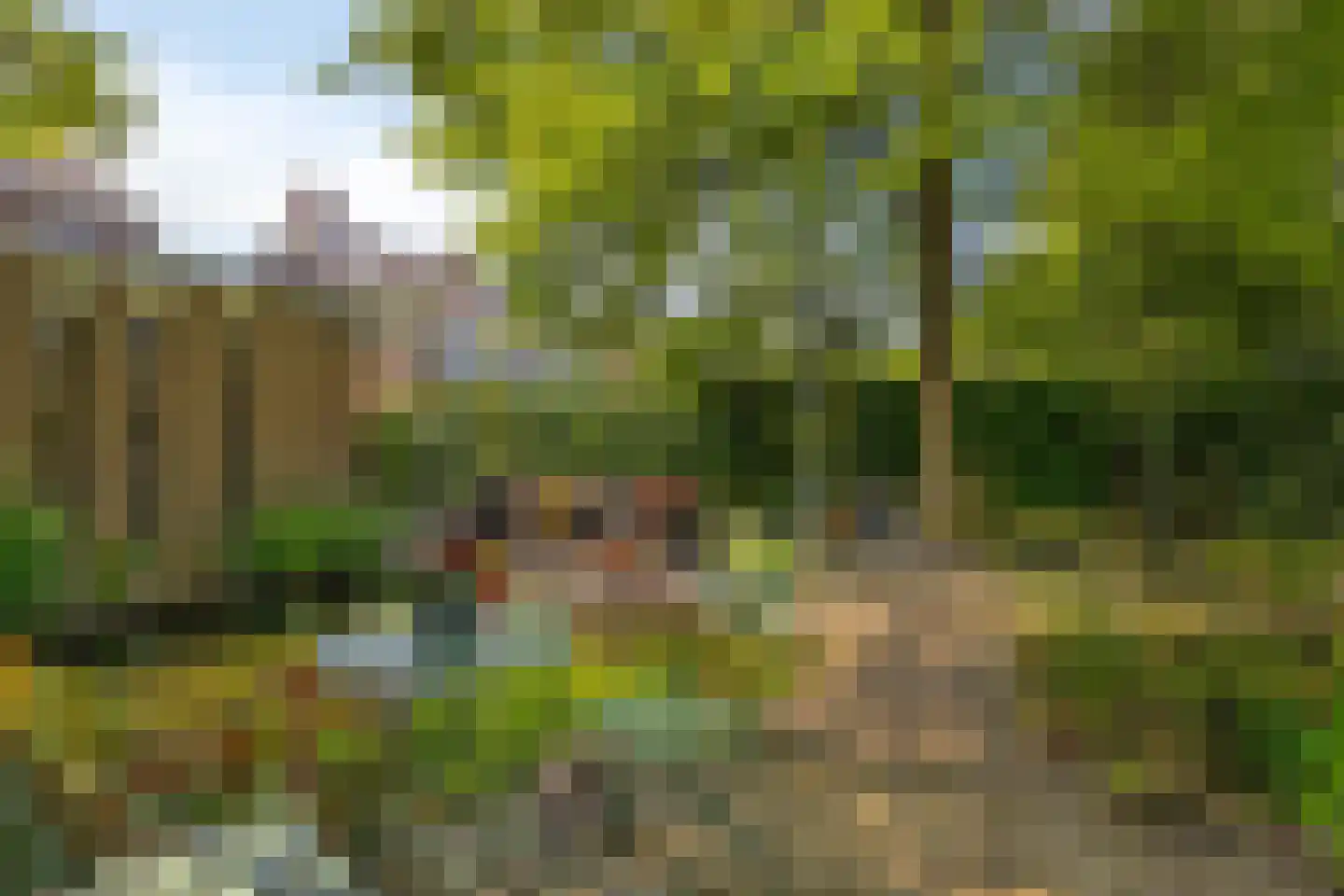 Dr. van Beurdenstraat 3 Schijndel thumbnail 40