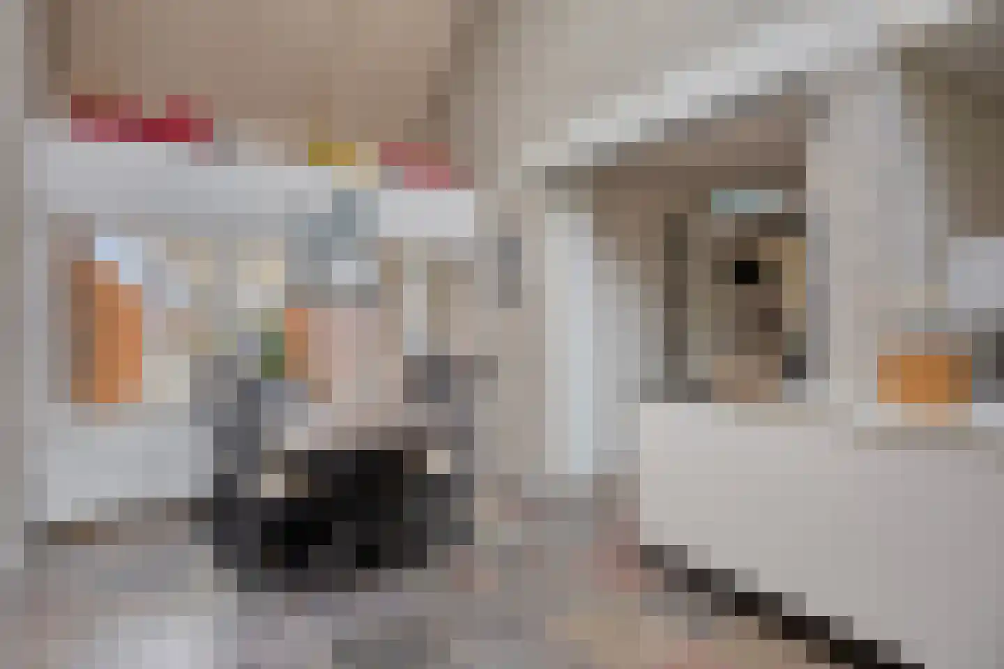Dr. van Beurdenstraat 3 Schijndel thumbnail 7