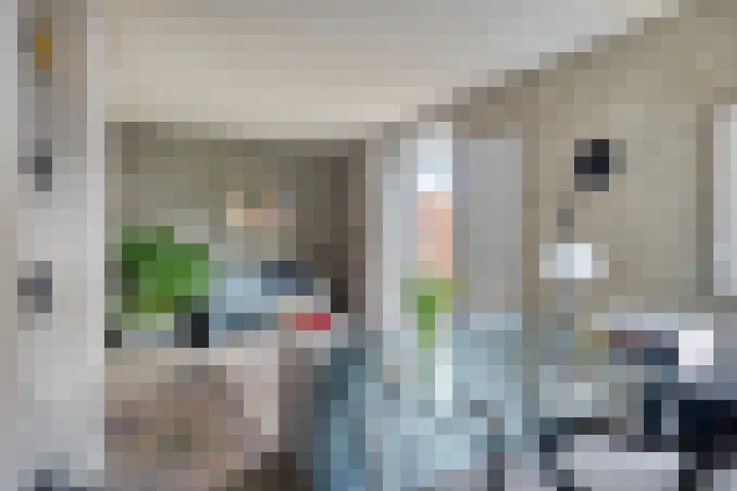 Dr. van Beurdenstraat 3 Schijndel thumbnail 8