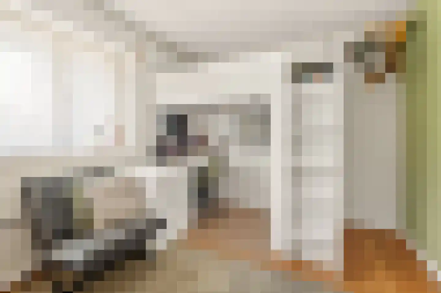 Dr. van Beurdenstraat 6 Schijndel thumbnail 32