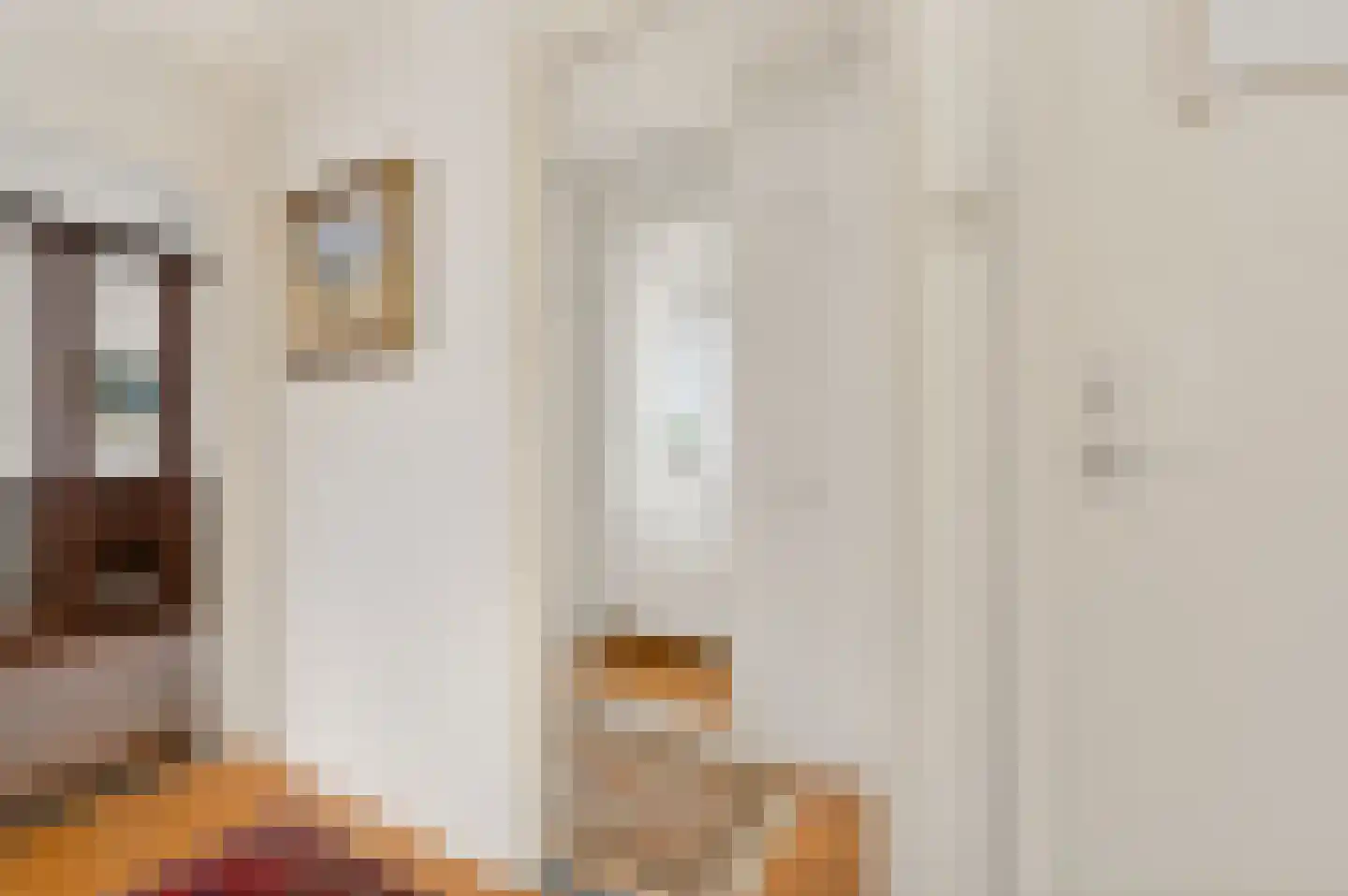 Dr. van Beurdenstraat 6 Schijndel thumbnail 34