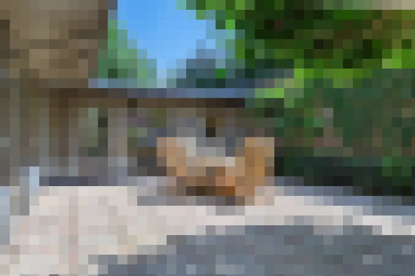 Dr. van Beurdenstraat 6 Schijndel thumbnail 4