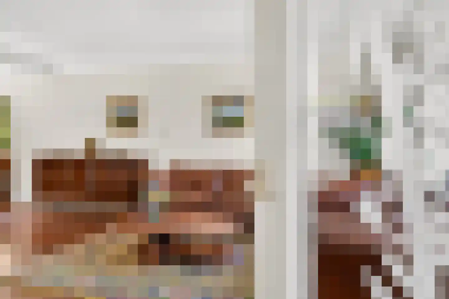 Dr. van Beurdenstraat 6 Schijndel thumbnail 6