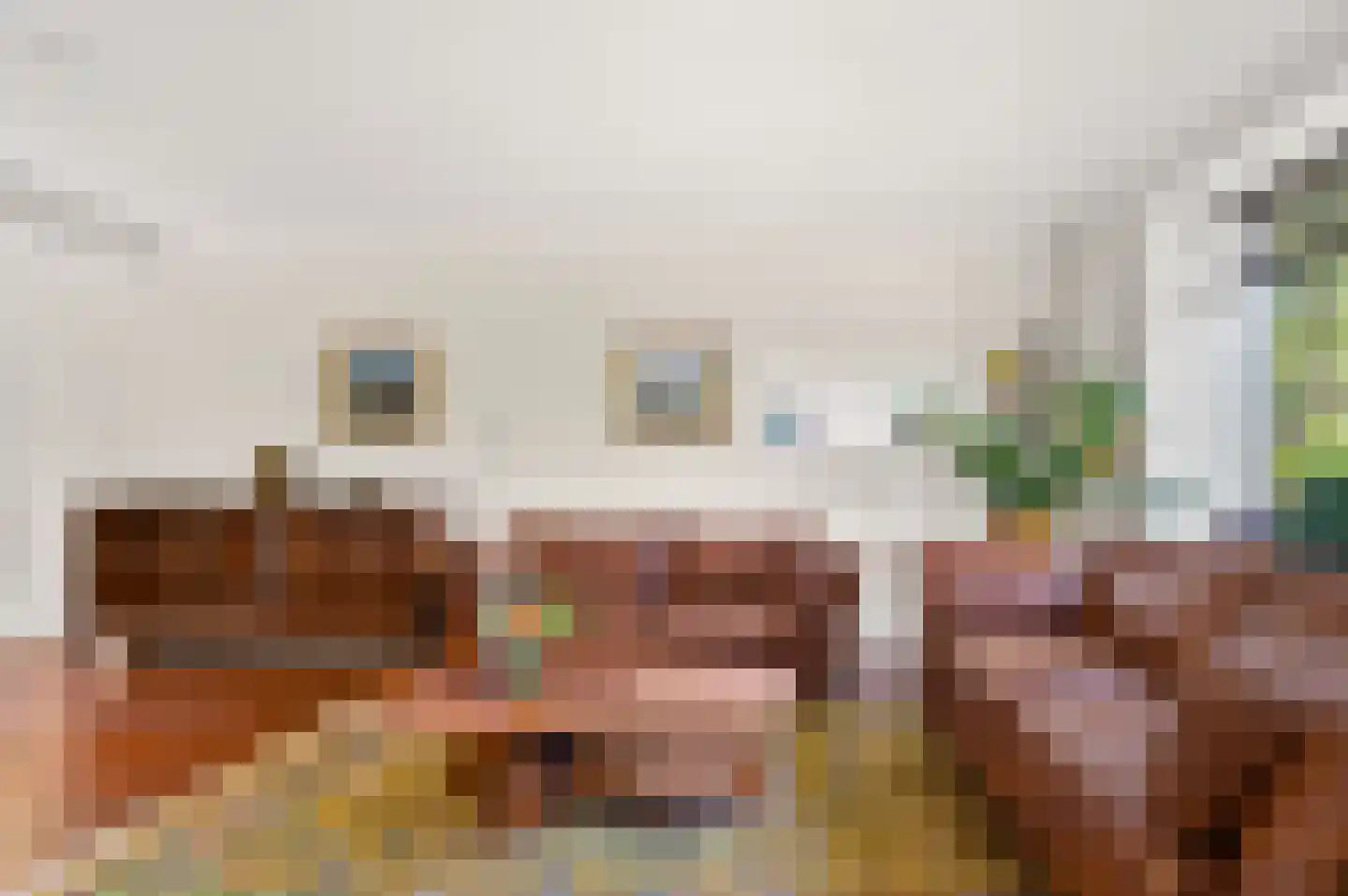 Dr. van Beurdenstraat 6 Schijndel thumbnail 7
