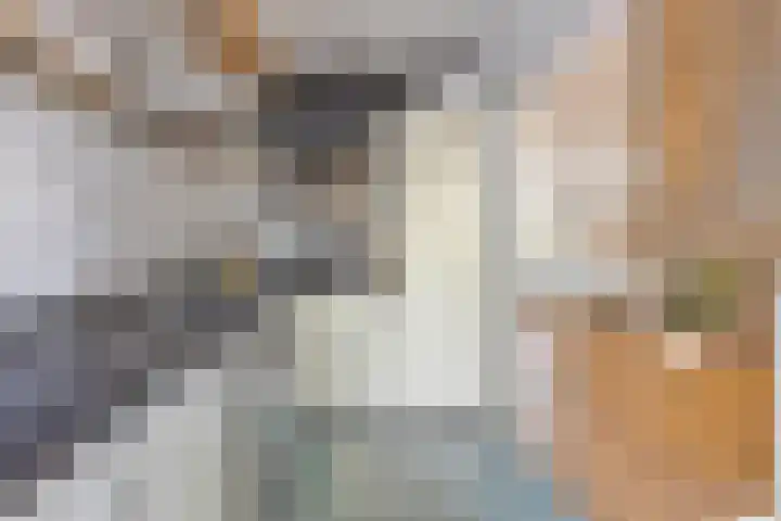 Dr. van Campenstraat 20 Breda thumbnail 15