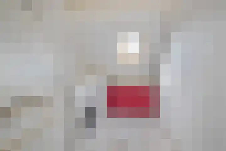 Dr. van Campenstraat 20 Breda thumbnail 26