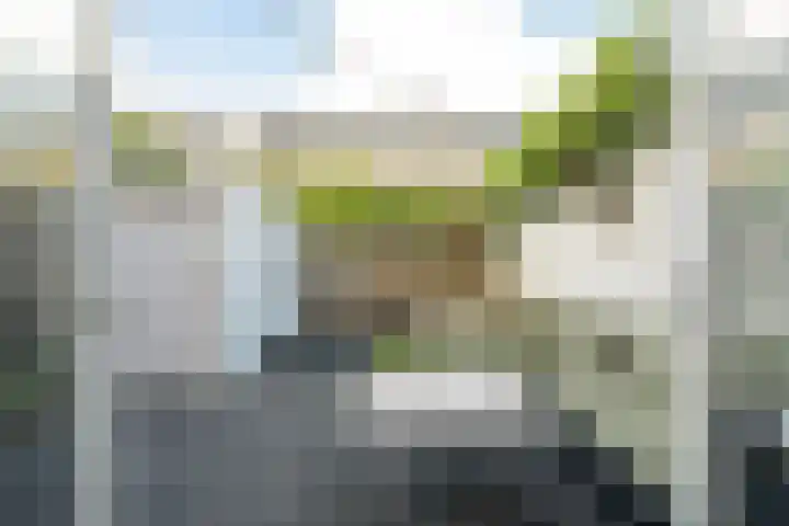 Dr. van Campenstraat 28 Breda thumbnail 30