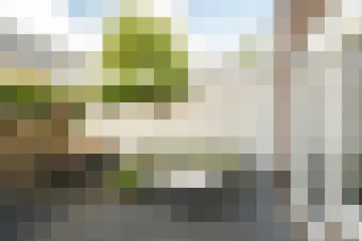 Dr. van Campenstraat 28 Breda thumbnail 31