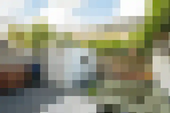 Dr. van Campenstraat 28 Breda thumbnail 33