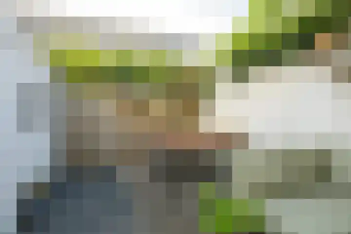 Dr. van Campenstraat 28 Breda thumbnail 35