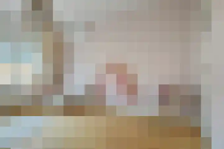 Dr. van Campenstraat 28 Breda thumbnail 37