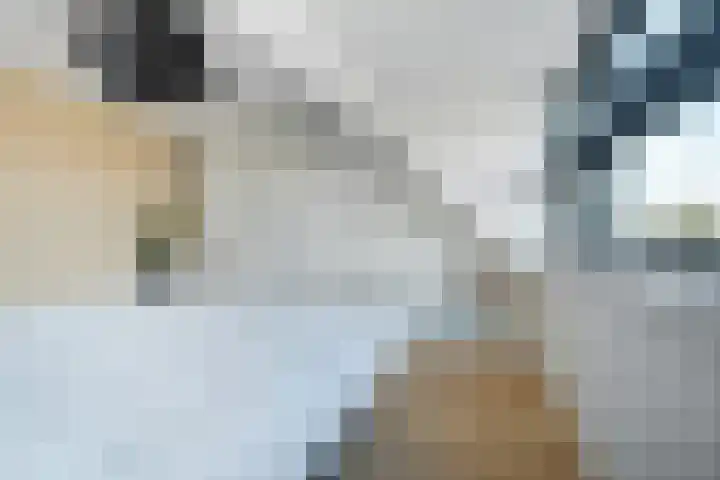 Dr. van Campenstraat 28 Breda thumbnail 51