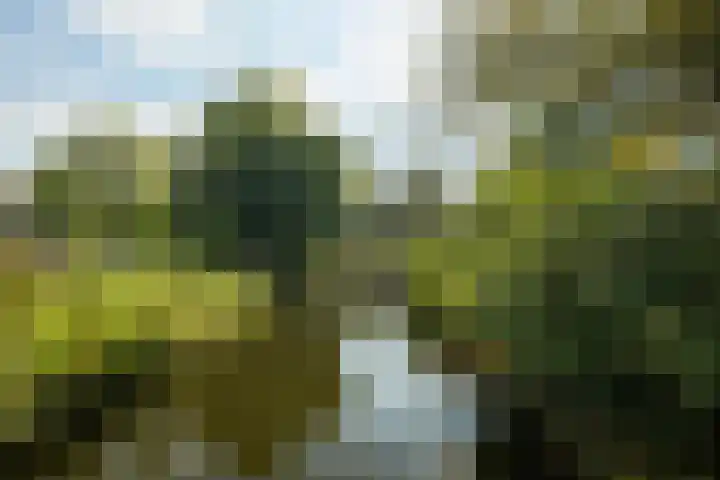 Dr. van Campenstraat 28 Breda thumbnail 61