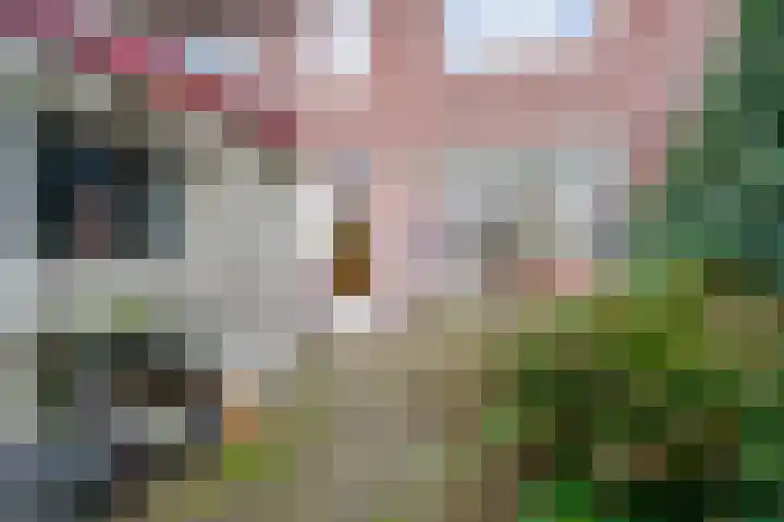 Dr. van Campenstraat 8 Breda thumbnail 26