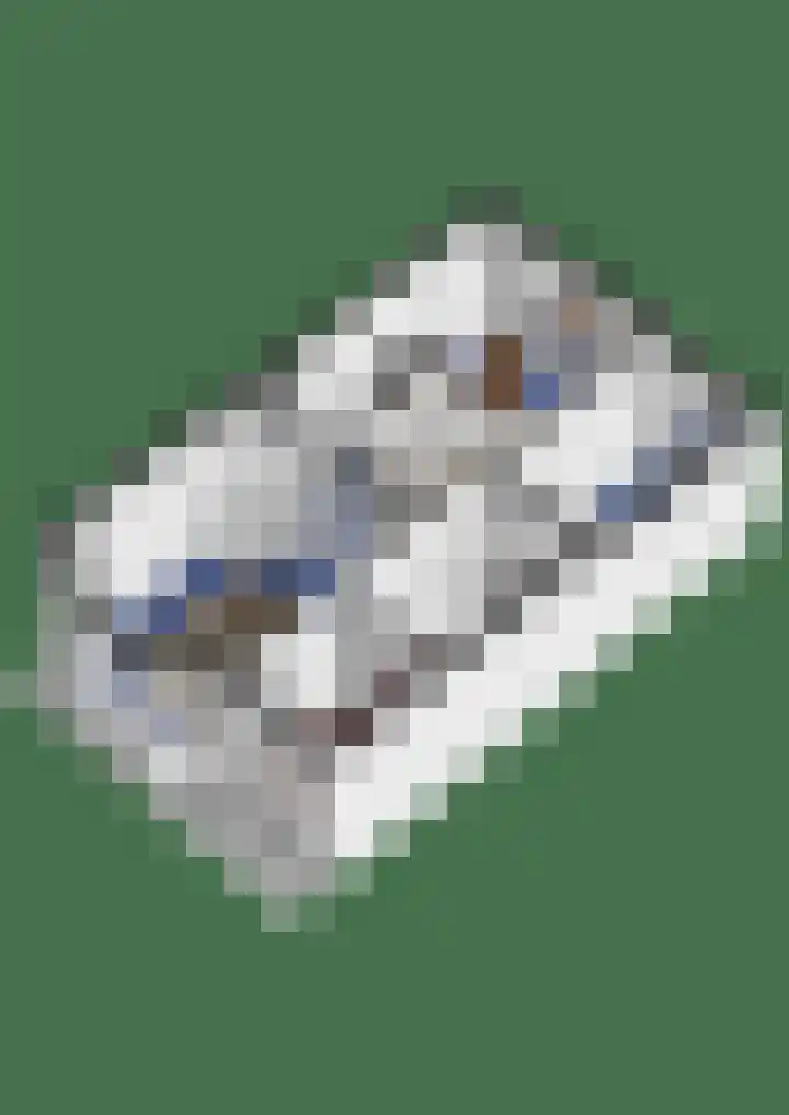 Dr. van Campenstraat 8 Breda thumbnail 35