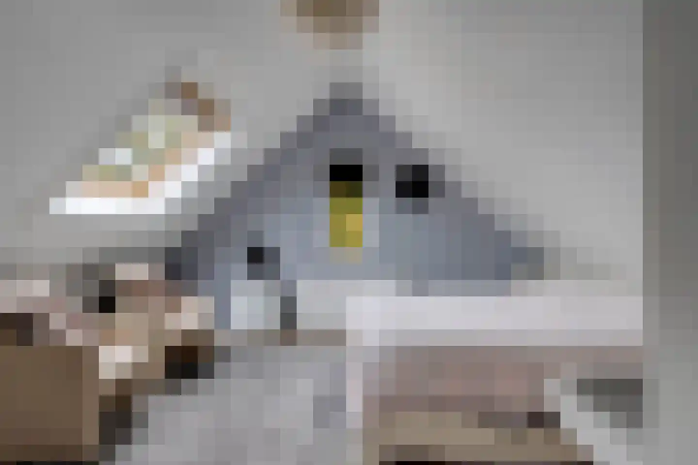 Dr. Van Damstraat 45 Enschede thumbnail 8