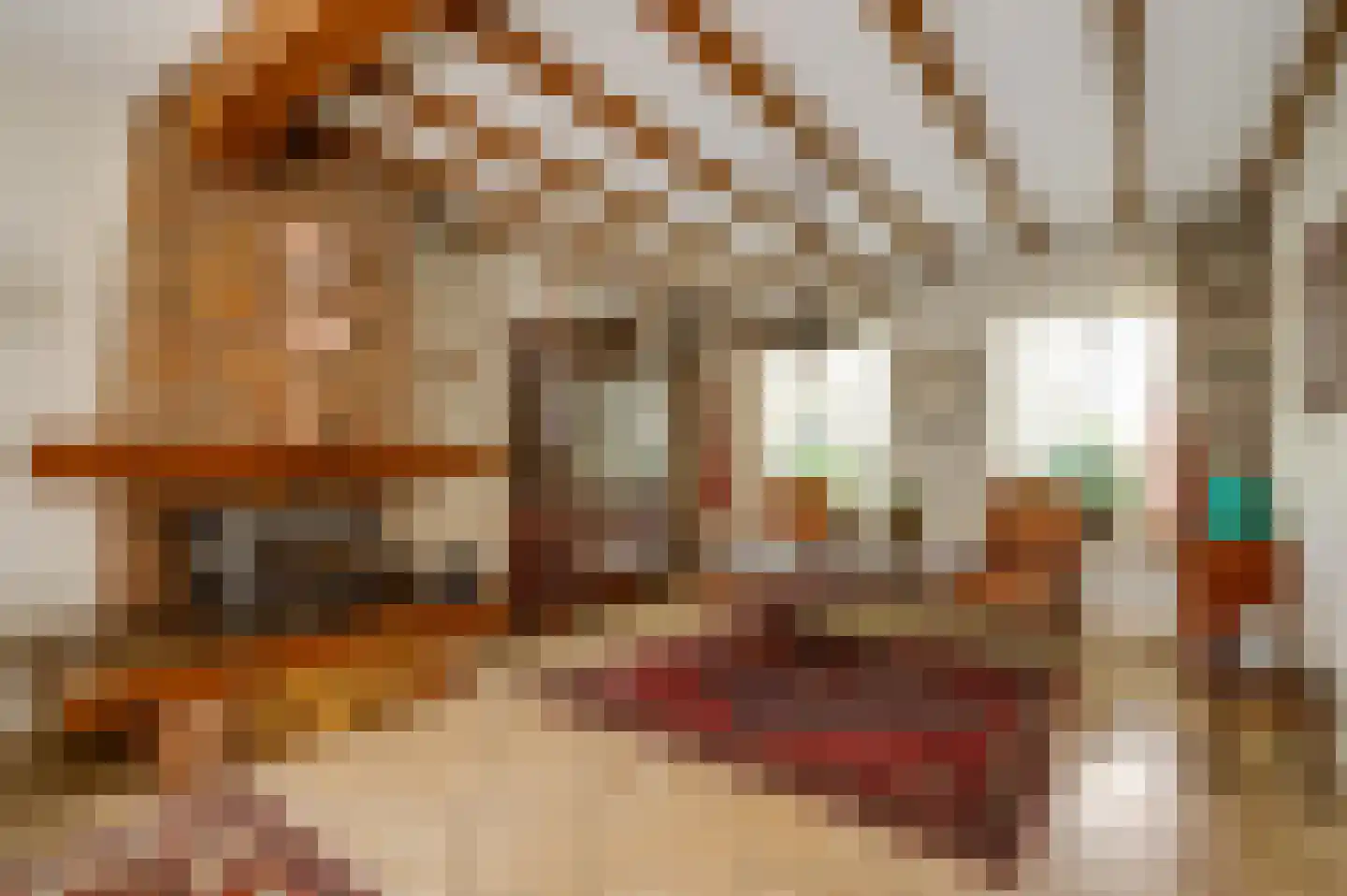 Dr. van de Meerendonkstraat 17 Horst thumbnail 11