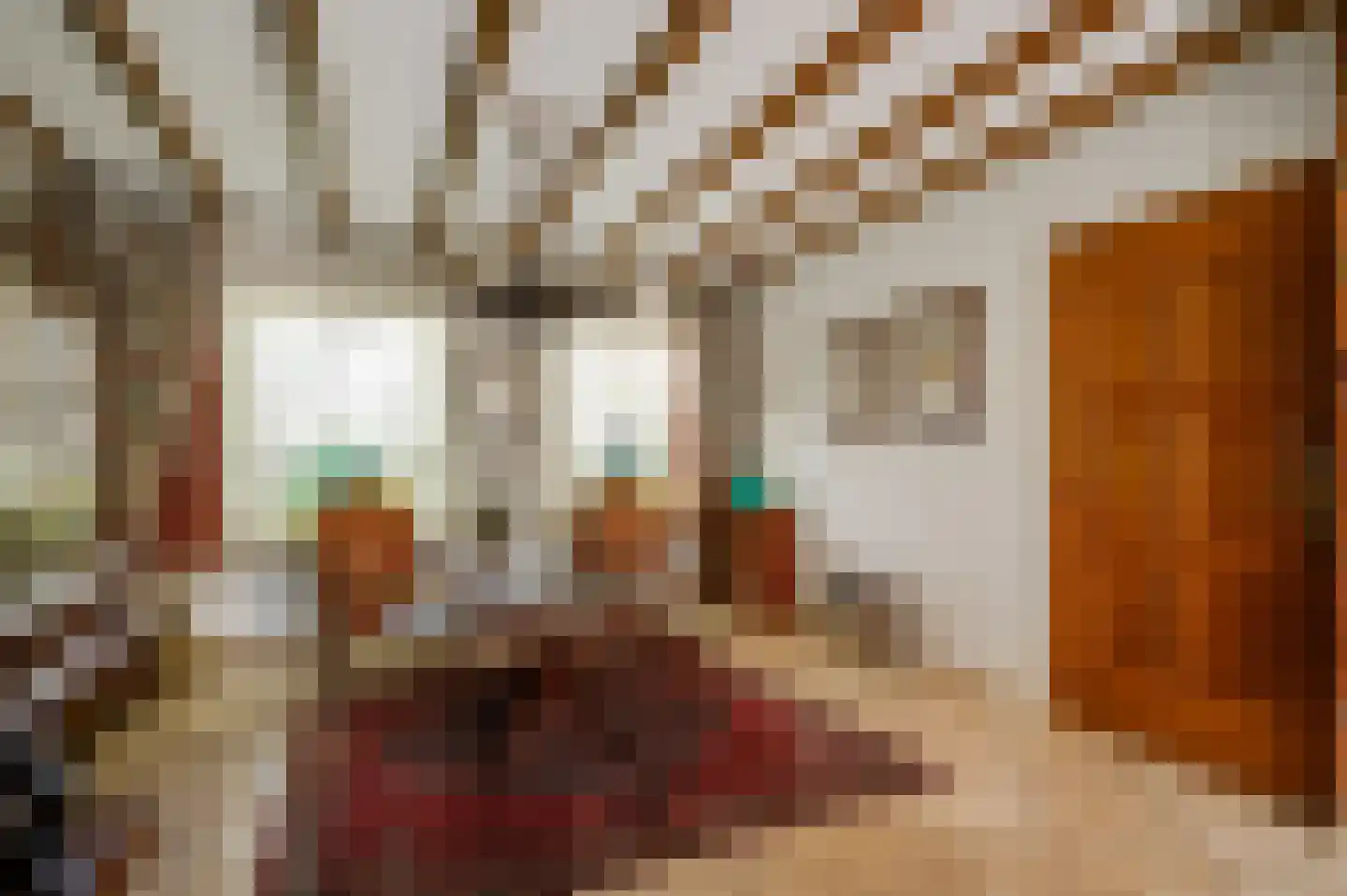 Dr. van de Meerendonkstraat 17 Horst thumbnail 12