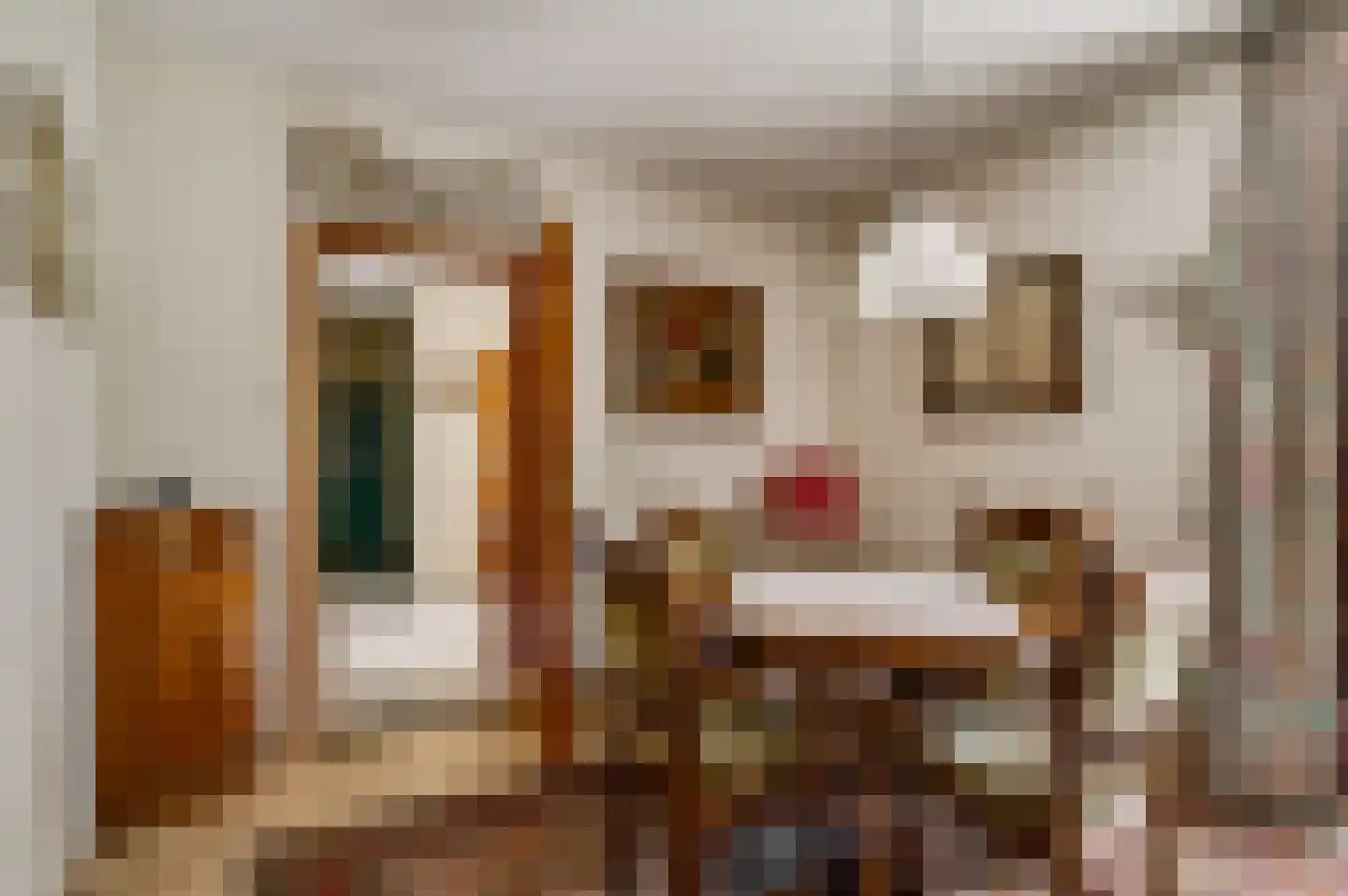 Dr. van de Meerendonkstraat 17 Horst thumbnail 16
